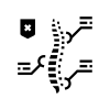 icons8 scoliosis symptoms 100